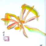 colorbrushart-japan-img